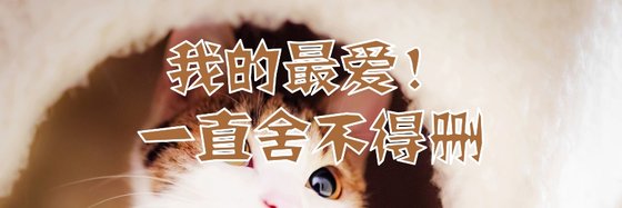 我的最爱！一直舍不得删